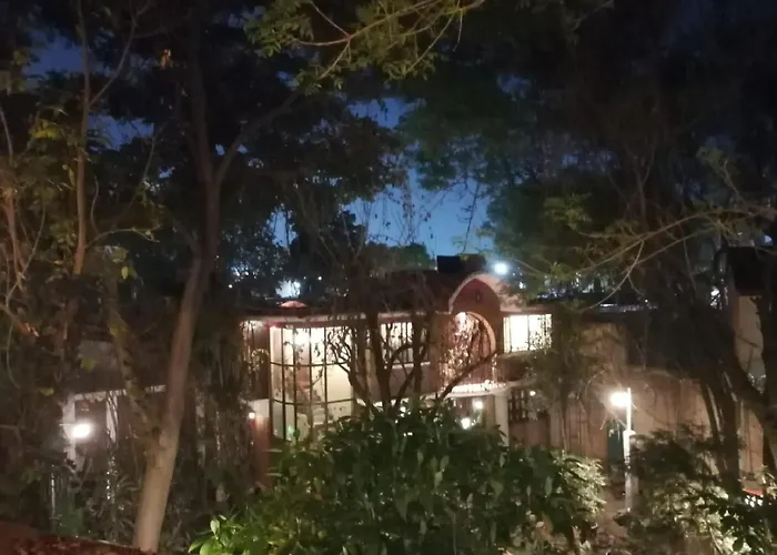 Cenzontle Apartment Mexico City